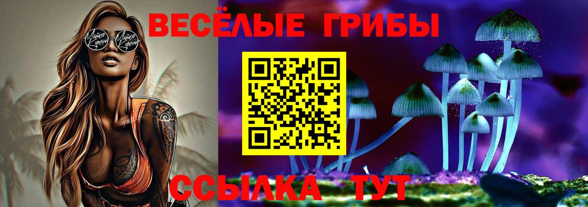 Псилоцибиновые грибы Cubensis  Вход с VPN  продажа наркотиков  Электрогорск 
