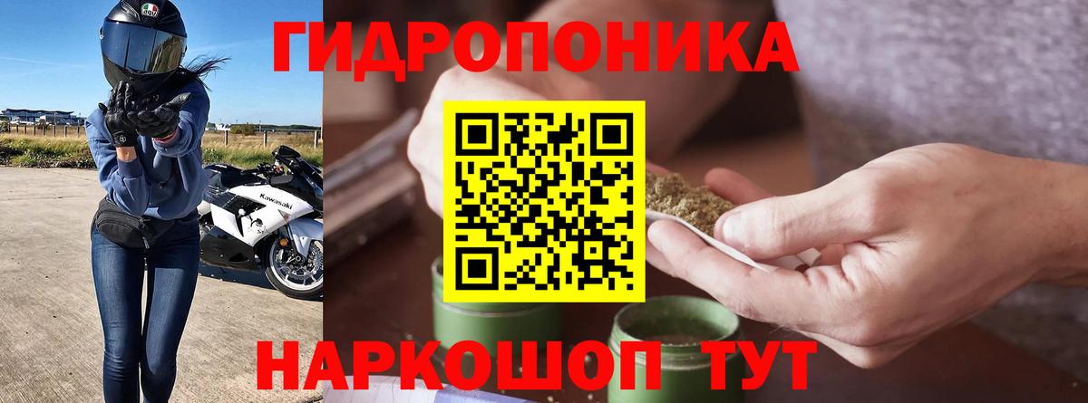 Бошки марихуана Ganja Электрогорск